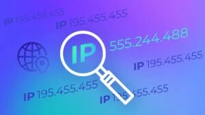 Lire la suite à propos de l’article Vérifier son adresse IP